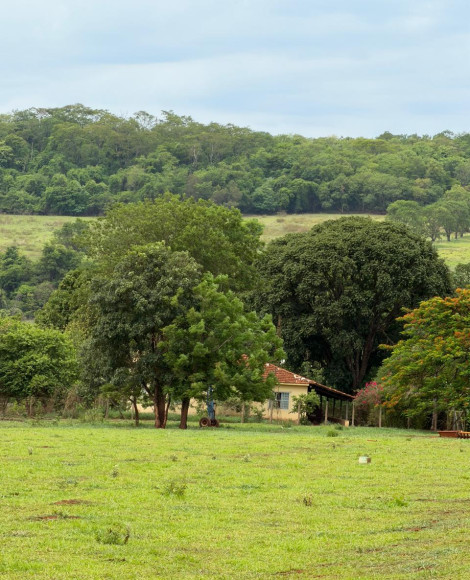 Vende-se, Chácara / Sítios no Rural em Uberaba